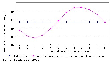 grafico-estacao de monta2