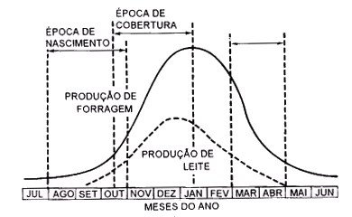 grafico-estacao de monta3