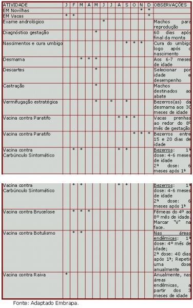 grafico-estacao de monta6