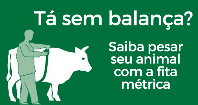 Pesar sem balança