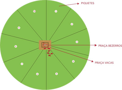 3r-formato-pizzajpg