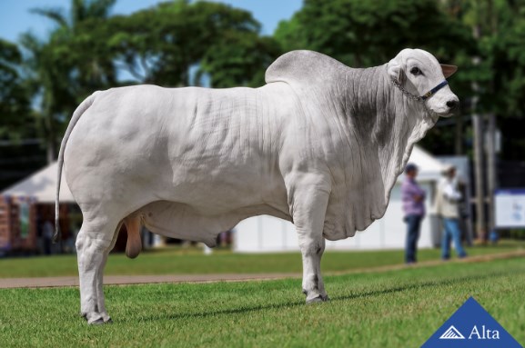 egan fazenda angico