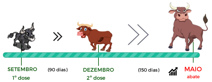 garfico bopriva castracao quimica