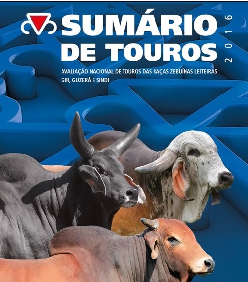 sumario de touros