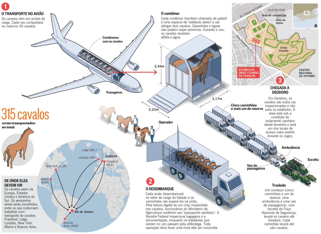 infografico cavalos olimpiadas
