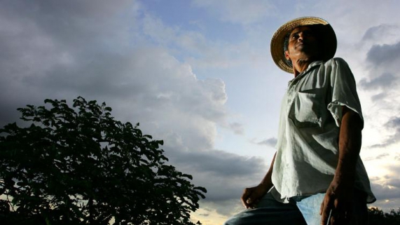 produtor rural