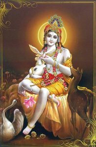 Krishna deusa indiana