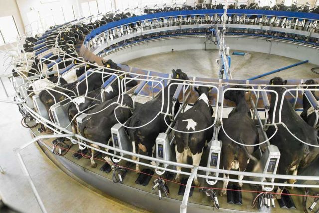 PR2100-1100-delaval PR2100-1100-delaval