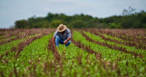 agricultor carbono zero