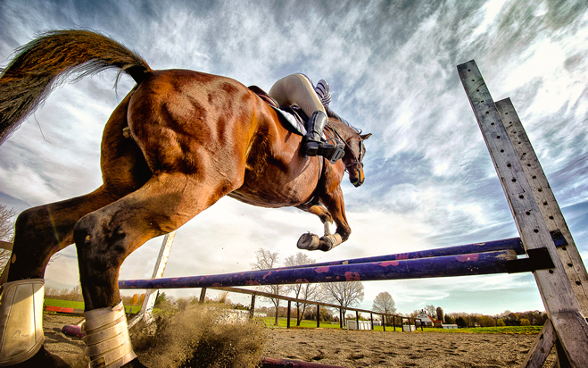 Cavalos nos Jogos Olímpicos, uma dança entre a liberdade e a saúde