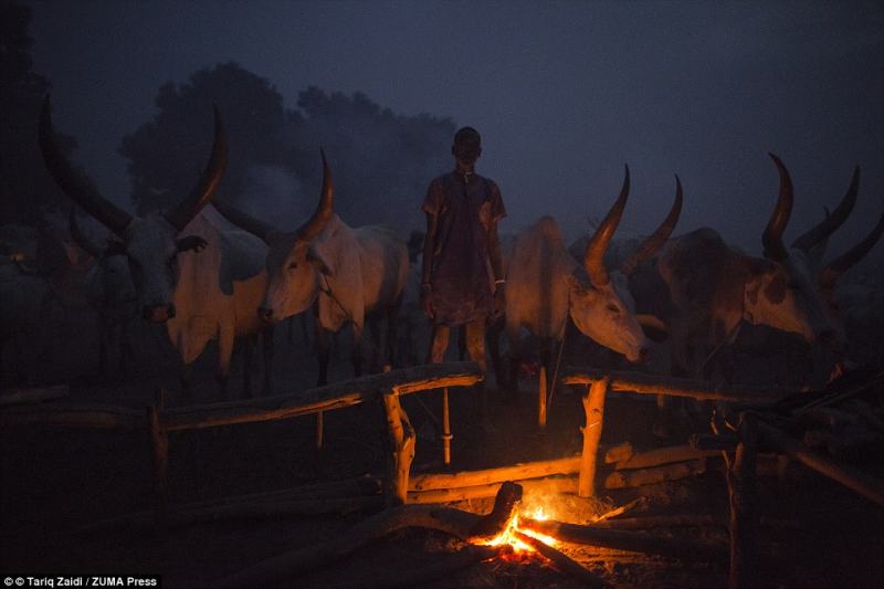 tribo mundari sundao do sul (15)