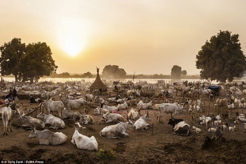 tribo mundari sundao do sul (9)