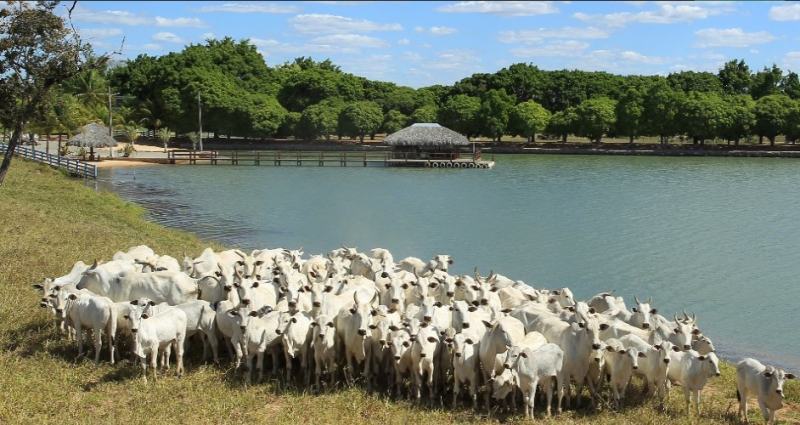 Imagem: Divulgação/Fazenda É o Amor