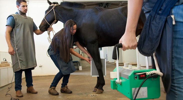 Aluno de Medicina Veterinária fazendo raio-x