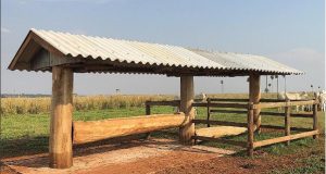Modelo de cocho para Vacada e Creep Feeding ao lado para Bezerros - AGROZOLLER