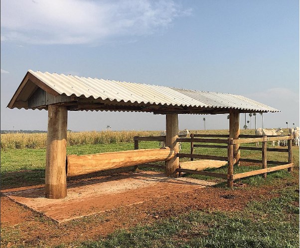 Modelo de cocho para Vacada e Creep Feeding ao lado para Bezerros - AGROZOLLER