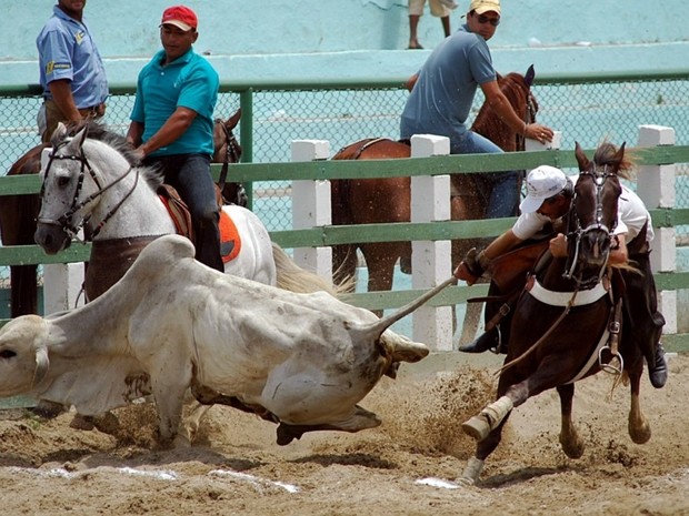 Competições de vaquejada são tradicionais em todo o Nordeste (Foto: Prefeitura do Cantá/Divulgação)