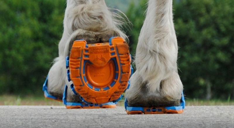 tipos de ferradura para cavalos