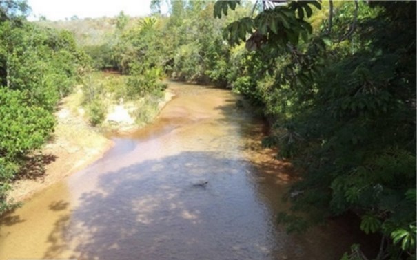 leilao de grandes fazendas -minas gerais 1