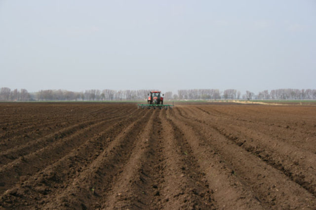 Tractor plowing rows on a field