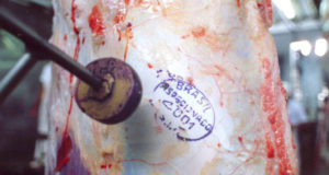 exportações de carne bovina