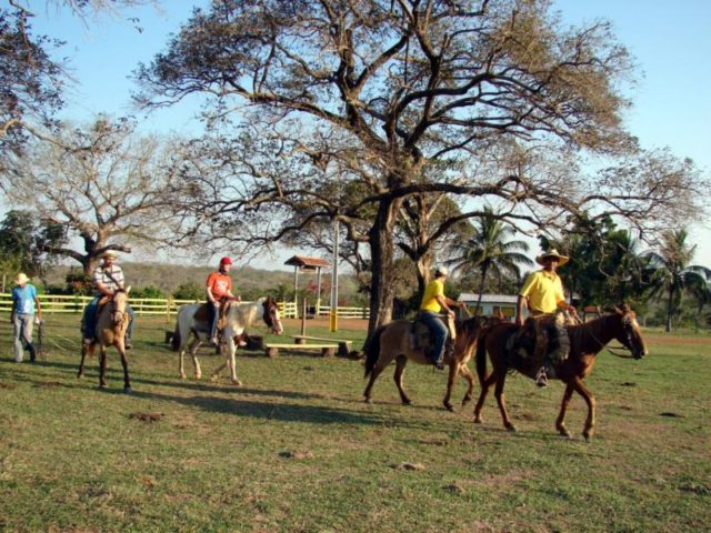 cavalgada-pantaneira