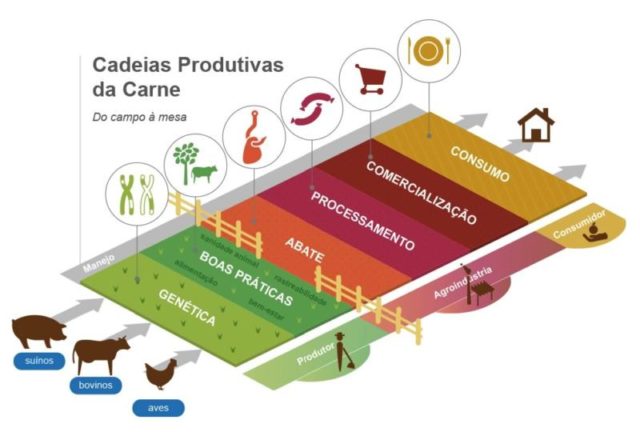 Embrapa lança hotsite para mostrar qualidade carne brasileira - Compre Rural