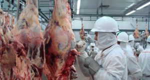 frigorifico-carne