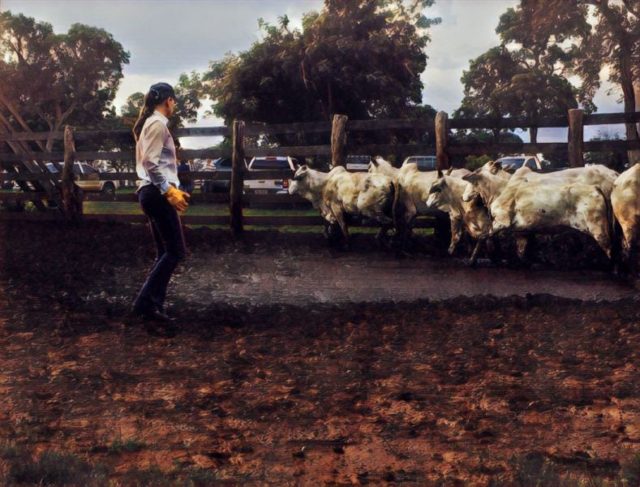 manejo-nada-nas-maos-adriane-zart