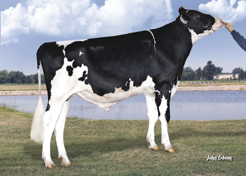 7HO11596 DEFIANT SELECT SIRES