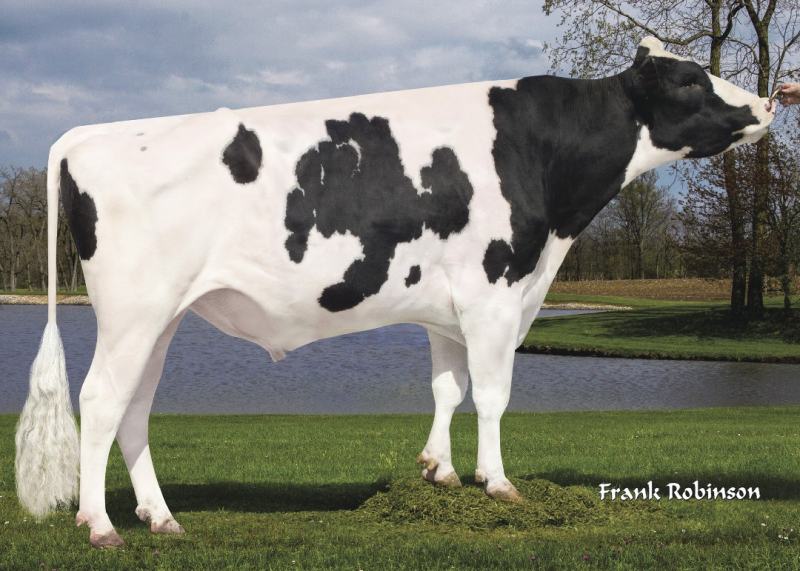  7HO12266-YODER SELECT SIRES