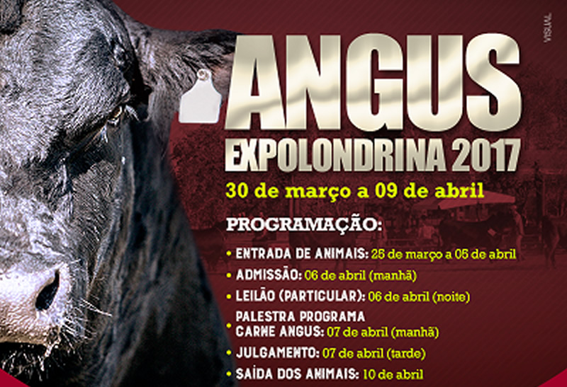 expo londrina 2017 angus