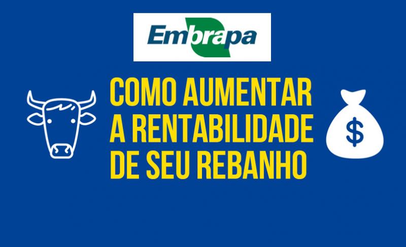 Como aumentar a rentabilidade da pecuária