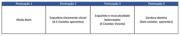 A pontuação da condição corporal de vacas em lactação