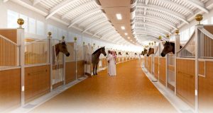 Instalações dos cavalos em Al Shaqab