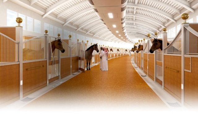 dubai-parque-do-cavalo-arabe Instalações dos cavalos em Al Shaqab