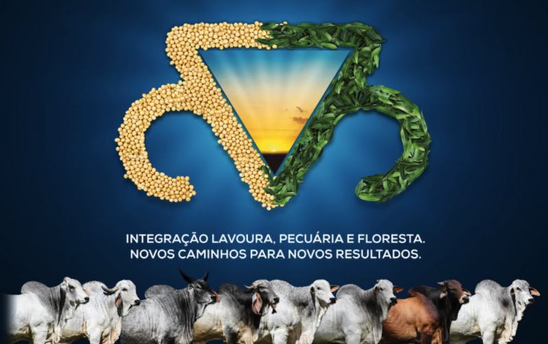 capa da expo zebu 2017