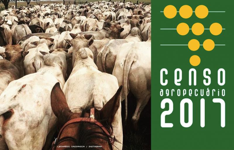 IBGE anuncia o Censo Agropecuário 2017