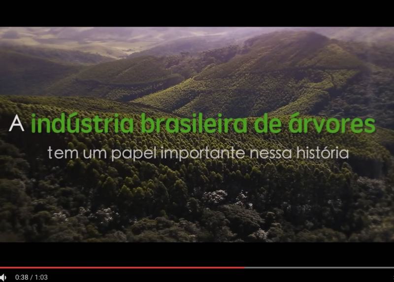 Industria de Arvore Brasileira