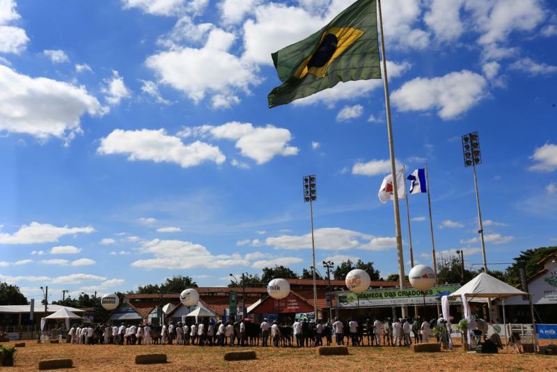 megaleite 2017 exposição