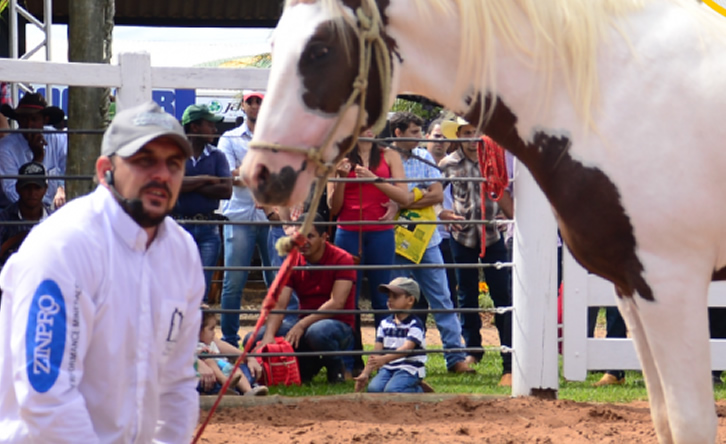 médico veterinário e domador, Leonardo Feitosa