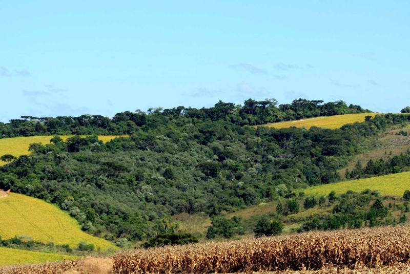 Reserva legal em fazenda