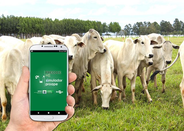 app-gado-precoce-ms App Gado Precoce