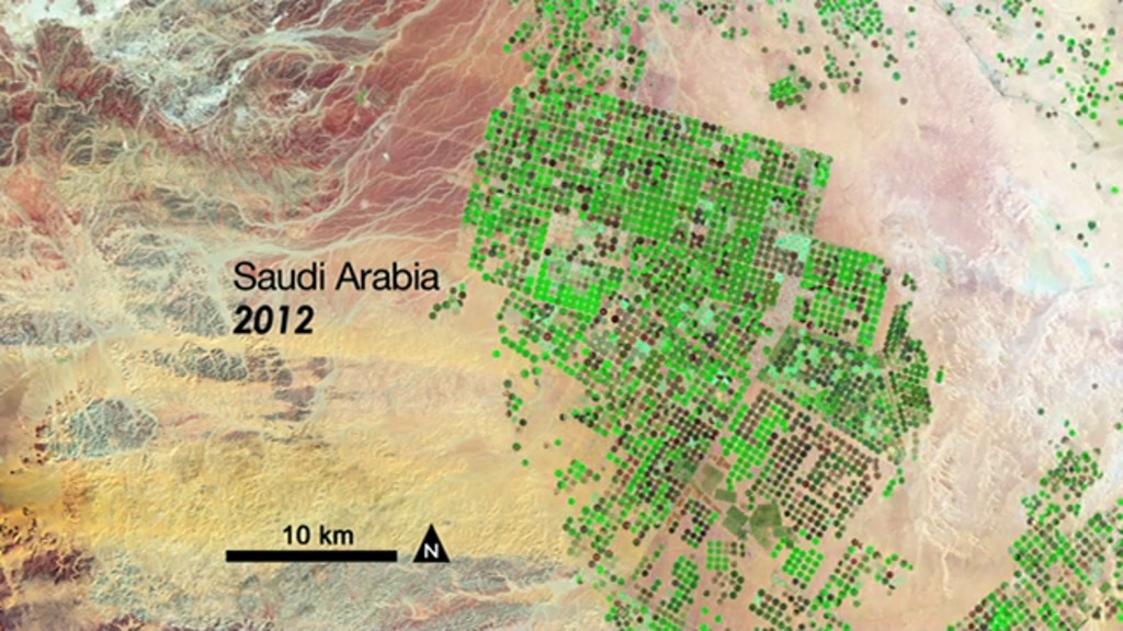 Arabia Saudita Pivots