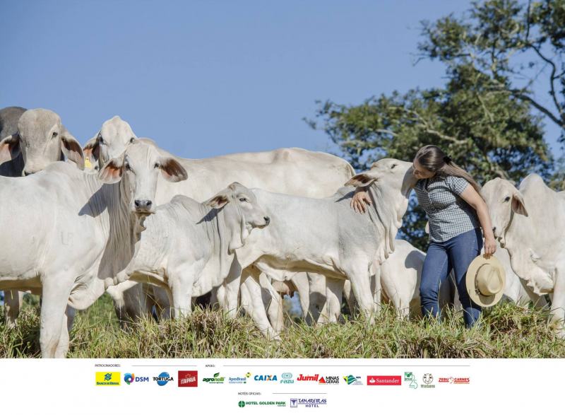 Concurso Fotográfico ABCZ