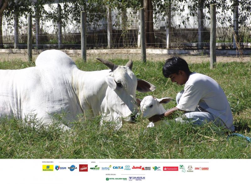 Concurso Fotográfico ABCZ