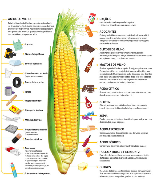 Infográfico derivados do milho