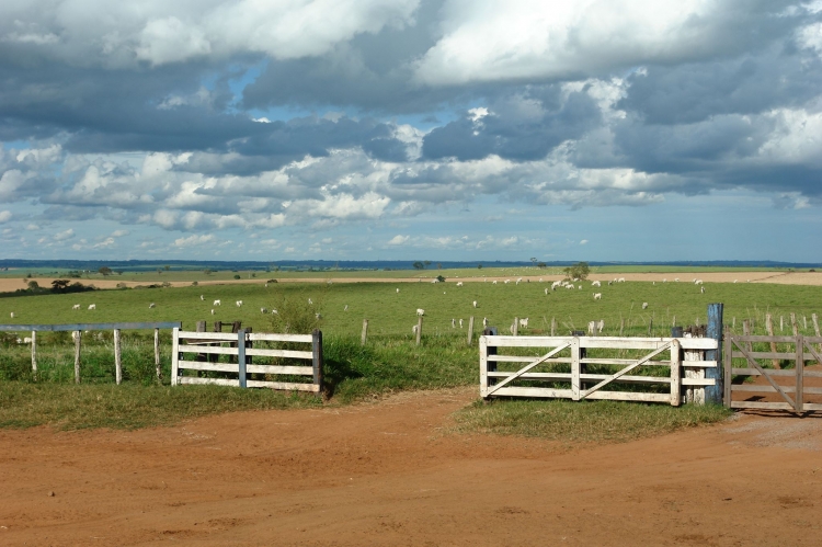 Fazenda Progresso