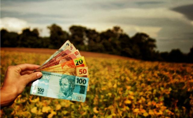 financiamento-da-lavoura-credito-rural Crédito Rural