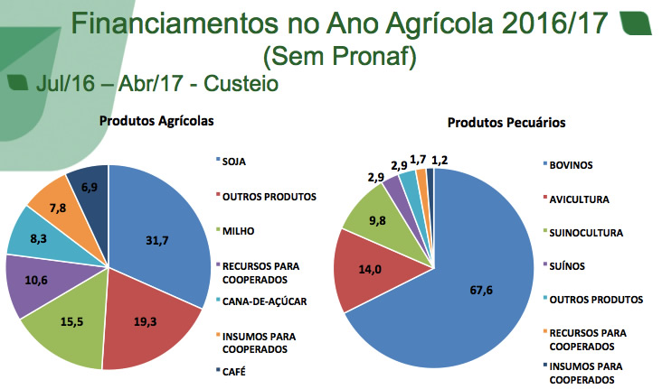 Financiamentos por cultura